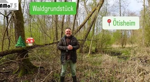 Waldgrundstück
